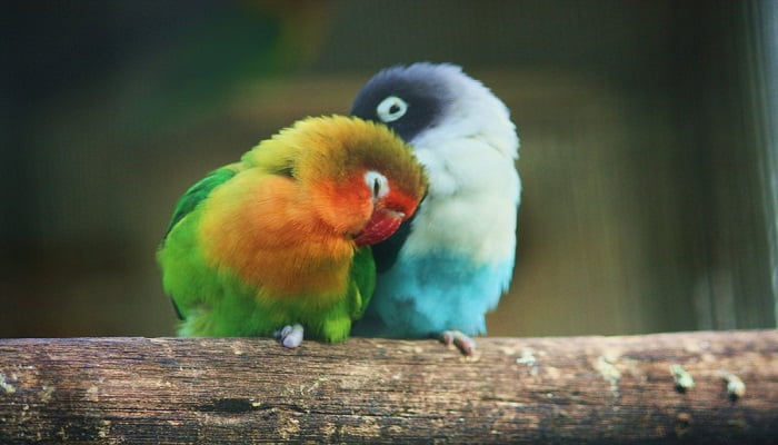 Foto: Giftideaz