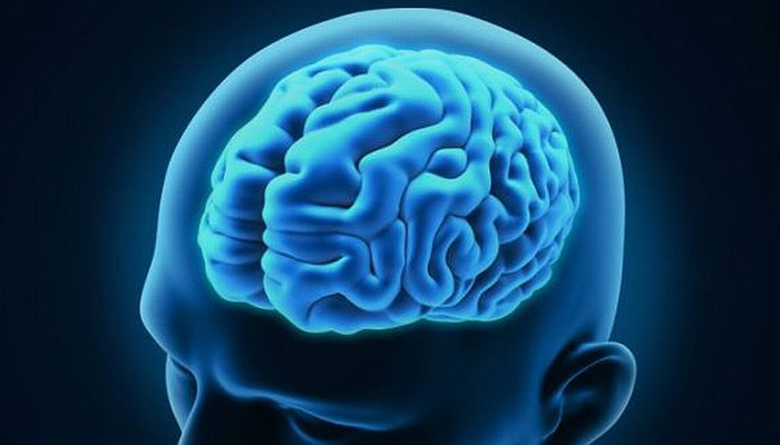 Memahami Otak  dan Akal Manusia Islampos