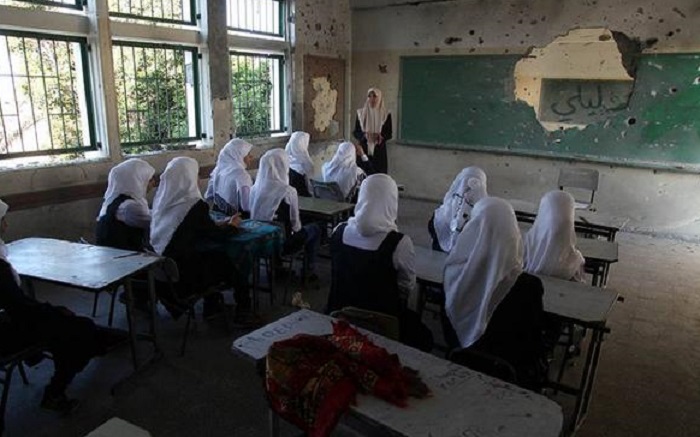 pendidikan palestina