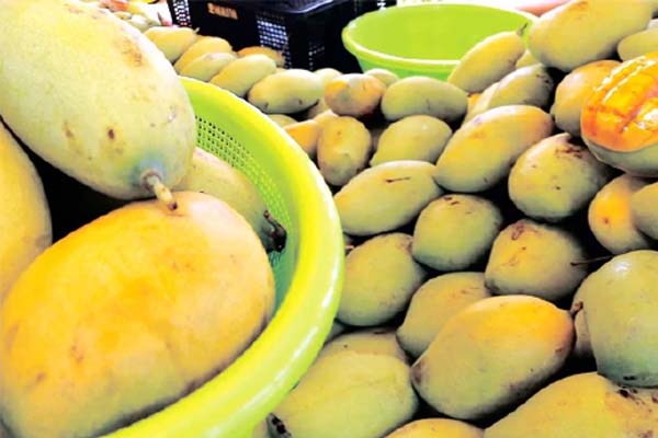 Tips Beli Buah-buahan
