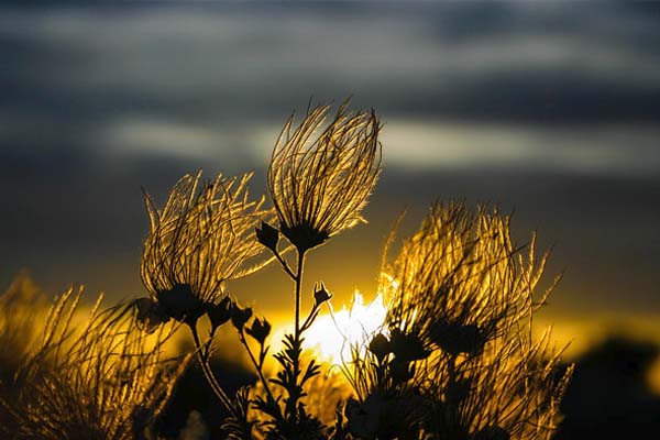 Foto: Pinterest