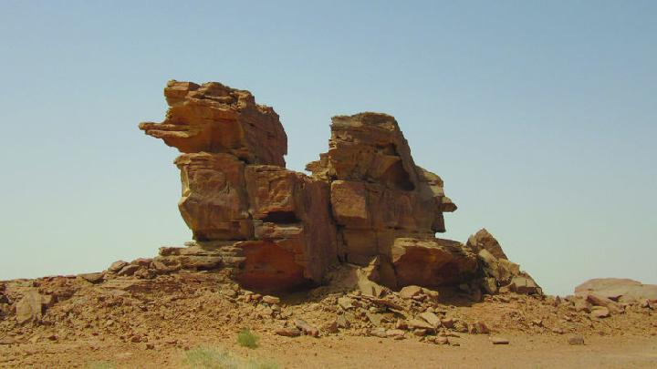 Arkeolog Temukan Belasan Relief Unta Berukuran Jumbo di Gurun Saudi 2