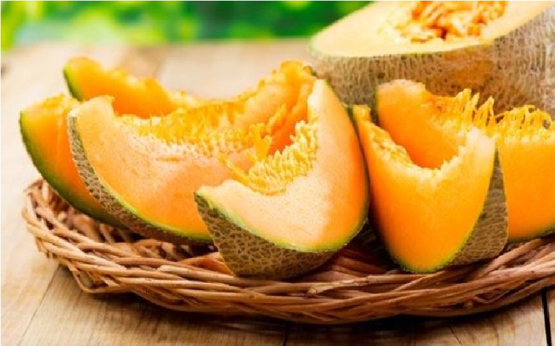 Rockmelon Dan Bakteri Listeria Islampos
