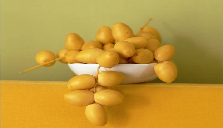 Ini 10 Jenis Kurma dan Kandungan Nutrisinya 3 Ini 10 Jenis Kurma dan Kandungan Nutrisinya 2 nutrisi kurma