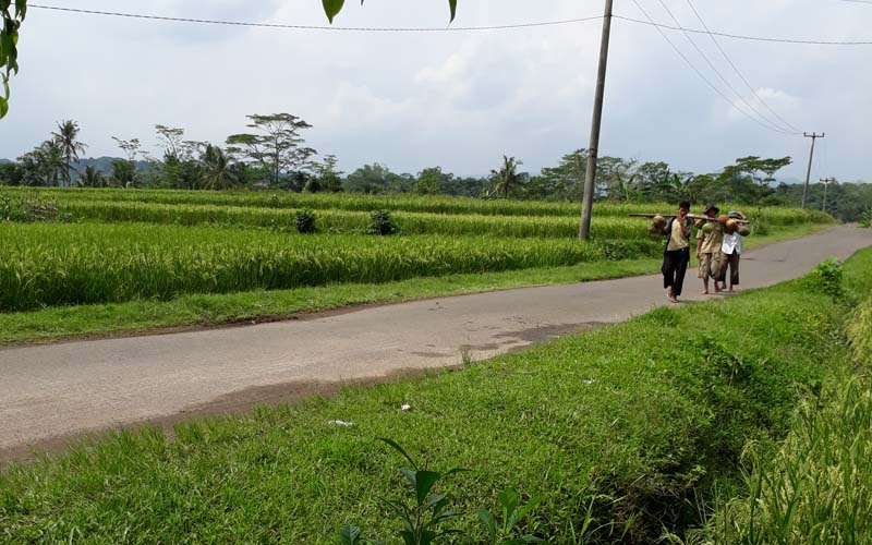 Pahala Bertani