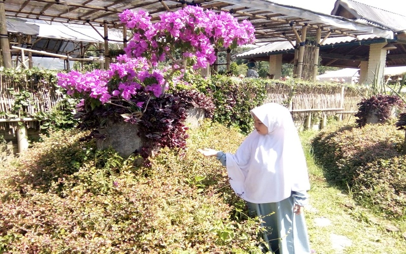 Foto: Farlina/Islampos