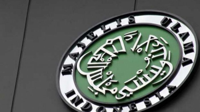 Logo MUI