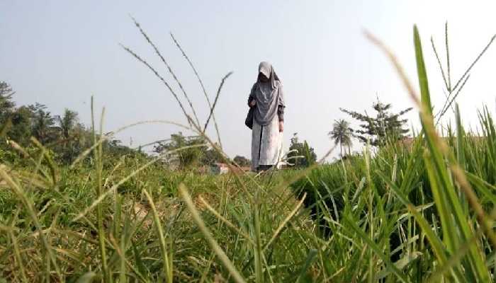 menjaga pandangan dari zina,