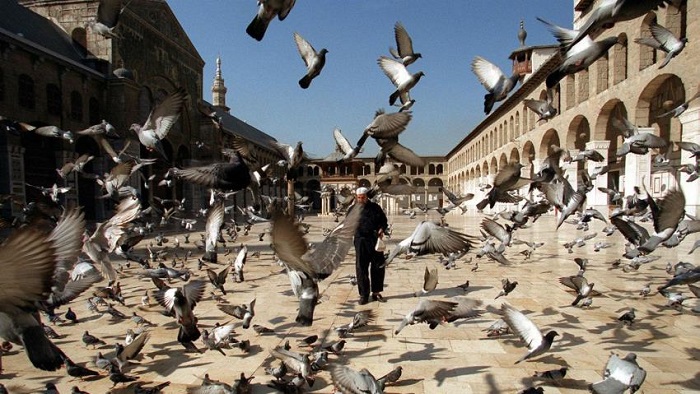 Foto: Alaraby