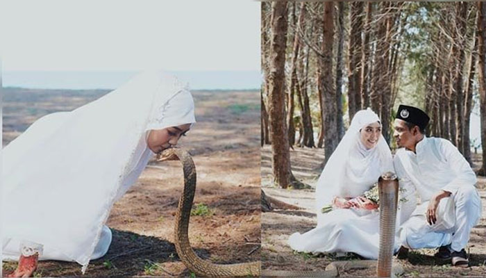 pengantin berfoto dengan ular kobra