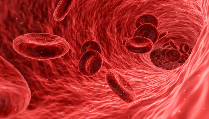 penularan hiv, Fakta Golongan Darah O, Setetes Darah