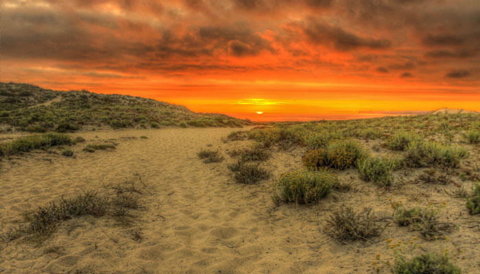 Keberanian Zaid Bin Khatthab Adik Umar Bin Khatthab Islampos Keberanian Zaid Bin Khatthab Adik Umar Bin Khatthab Islampos