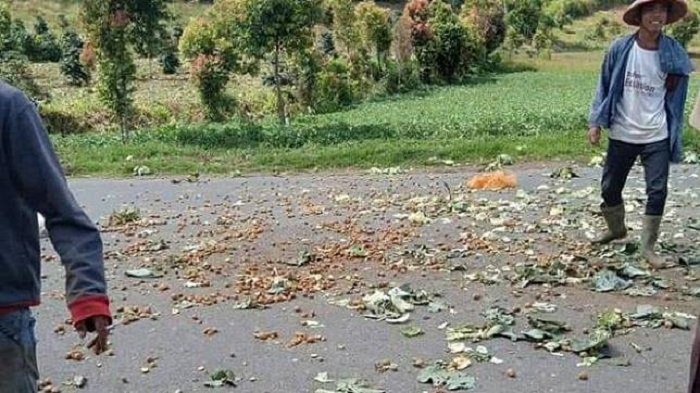 Para petani Jambi buang sayuran ke jalan. Foto: Tribun Jambi