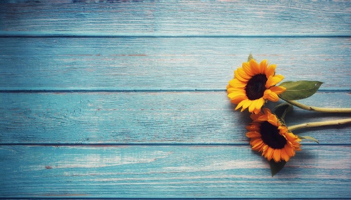 Ilustrasi. Foto: Unsplash