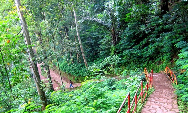 Taman Hutan Raya Ir H Djuanda; Tempat Liburan 'Adem' di Akhir Pekan 1 taman hutan raya ir Djuanda