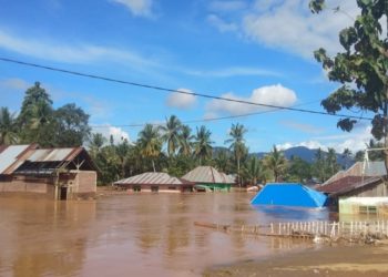 Foto:  Rhio/Islampos