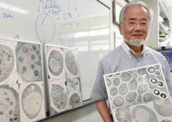 Yoshinori Ohsumi, peraih Nobel di bidang Ilmu Fisiologi atau Kedokteran.  Foto: NY Times