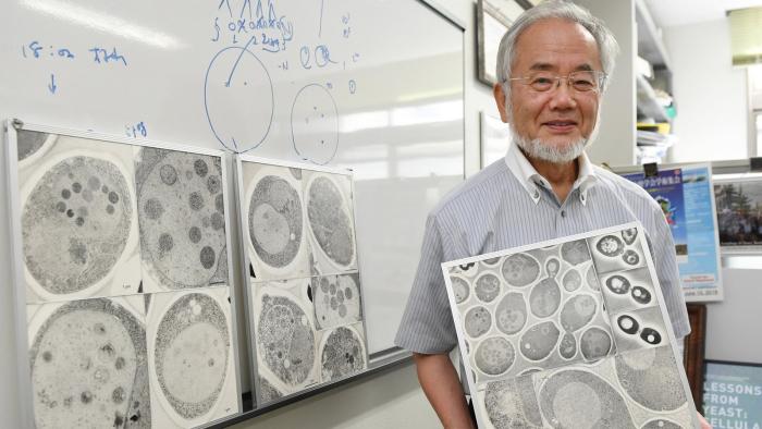 Yoshinori Ohsumi, peraih Nobel di bidang Ilmu Fisiologi atau Kedokteran. Foto: NY Times