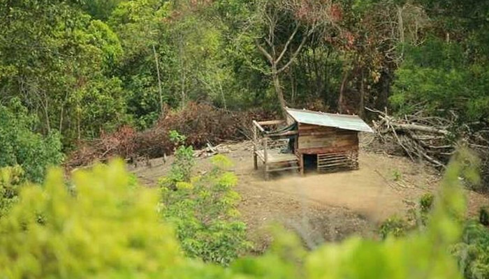 di pondok kecil lirik di pondok kecil lirik