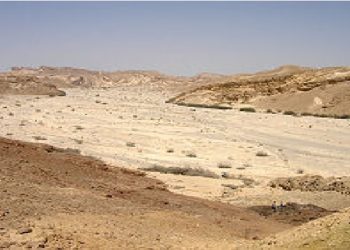 Gurun Pasir Negev. Foto: Wikipedia