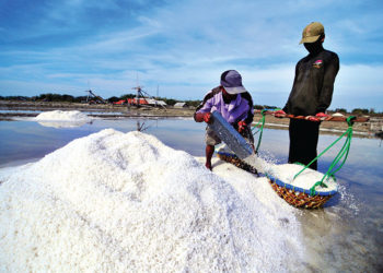Petambak garam. Foto: Media Indonesia