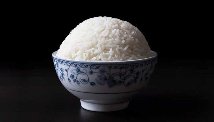 fakta nasi putih