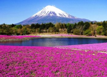 Gunung Fuji. Foto: Binus