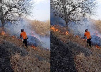 Personel BPBD Berjibaku Padamkan Api yang Membakar Hutan di Gunung Gandul, Giripurwo, Wonogiri. Foto: BPBD Wonogiri