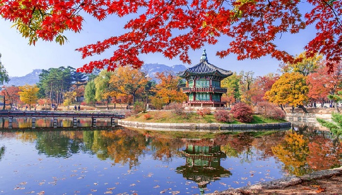 13 Tempat Wisata Musim Gugur Di Korea Selatan (1) - Islampos