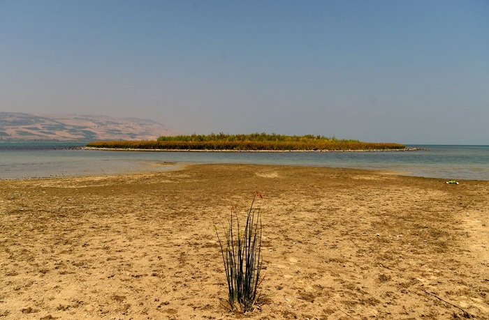 Danau Tiberias mulai surut. Foto: Haaretz