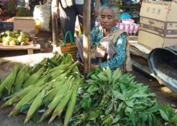 Margaretha Hati Manhitu (Ibu kandung Bupati Timor Tengah Utara) sedang jualan jagung dan sayur di Pasar. Foto: Tribunnews