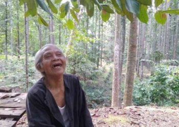 Kakek Suhendri menanam pohon untuk pasok oksigen. Foto: Tribunnews