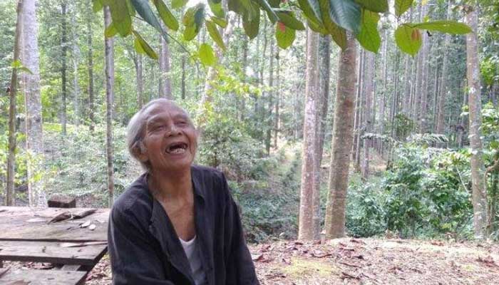 Kakek Suhendri menanam pohon untuk pasok oksigen. Foto: Tribunnews