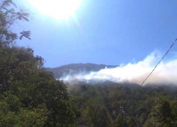 Kebakaran hutan gunung lawu. Foto: Detik