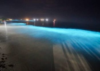 Air laut di pantai Pesisir Barat Lampung menyala saat malam hari. Foto: Instagram