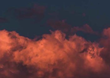 Ilustrasi: Unsplash