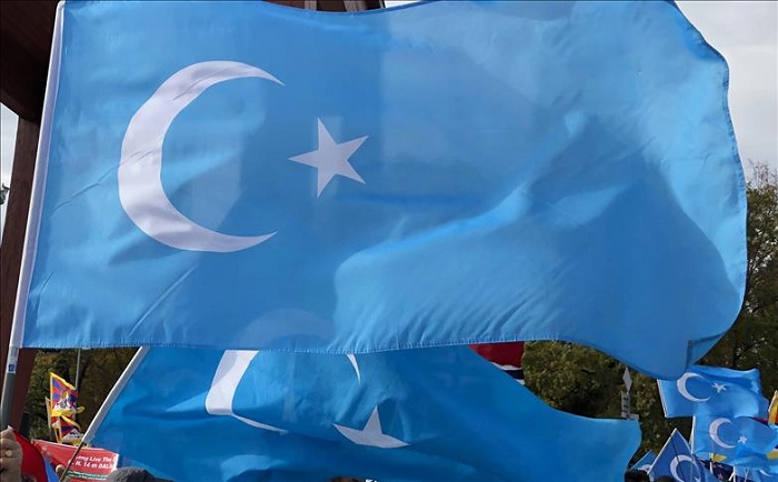 Negara turkistan