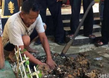 Makam di areal kontrakan Raja Keraton Agung Sejagat Toto Santoso di Godean, Sleman dibongkar. Foto: Jauh Hari Wawan S/detikcom