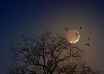 Sifat Mustahil Allah SWT, Rahasia Langit dan Bulan, Tanda-tanda Lailatul Qadar, Ciri Malam Lailatul Qadar