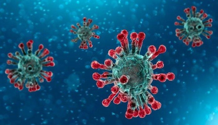 Virus Covid-19 Terus Bermutasi, Apa yang Harus Dilakukan? 2 Virus Covid-19 Terus Bermutasi, Apa yang Harus Dilakukan? 1 Virus