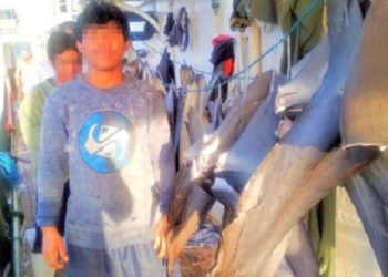 Para ABK asal Indonesia bekerja di kapal penangkap ikan yang memburu sirip hiu. Foto: BBC/KFEM