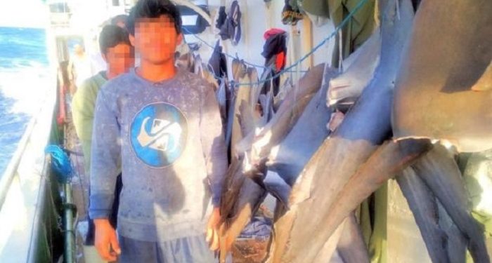 Kisah Pilu ABK Indonesia di Kapal Nelayan Cina, dari Tidur Cuma 3 Jam Hingga Biasa Dimaki dan Ditendang
