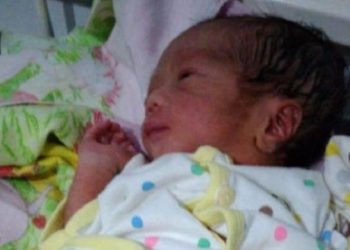 Bayi mungil ditemukan di kandang kucing. Foto: Batamnews