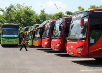 Bus-bus yang terparkir di Terminal Ir Soekarno Klaten. Foto: Solopos