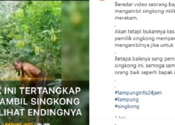 Kakek mencuri singkong dapat hadiah. Foto: Tangkapan layar Instagram Lampung Info
