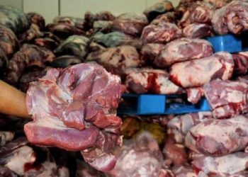 Ilustrasi daging babi. Empat warga Solo selama setahun menjual 63 ton daging babi yang dikemas menyerupai daging sapi. (ANTARA FOTO/Asep Fathulrahman)