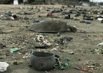 160 Kura-Kura Terjerat Sampah Plastik di Bangladesh, Puluhan Mati. Foto: AFP/Suzauddin Rubel