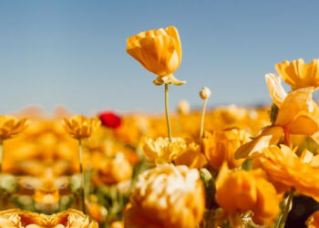 Sifat Wanita yang Membuat Pria Menjauh