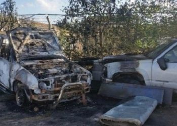 Anggota kelompok teror Israel membakar 13 mobil Palestina. Foto: WAFA