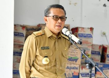 Gubernur Sulawesi Selatan Nurdin Abdullah. Foto: Bisnis
